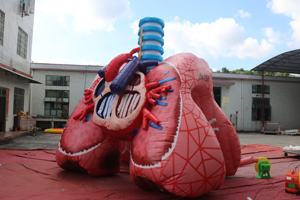 Winsun Inflatable thực tế tim và phổi mô hình cho y tế chủ đề quảng cáo tổ chức sự kiện phổi với khối u cho y tế - Product Image 4