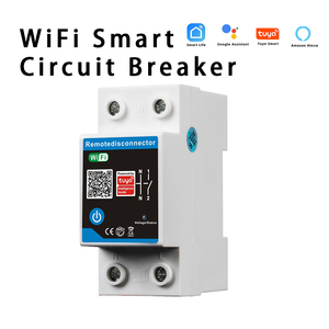 RMshebei 63A2PスマートWiFiサーキットブレーカー (TuyaおよびSmart Lifeアプリ付き) リモートタイマースイッチ成形ケース保護