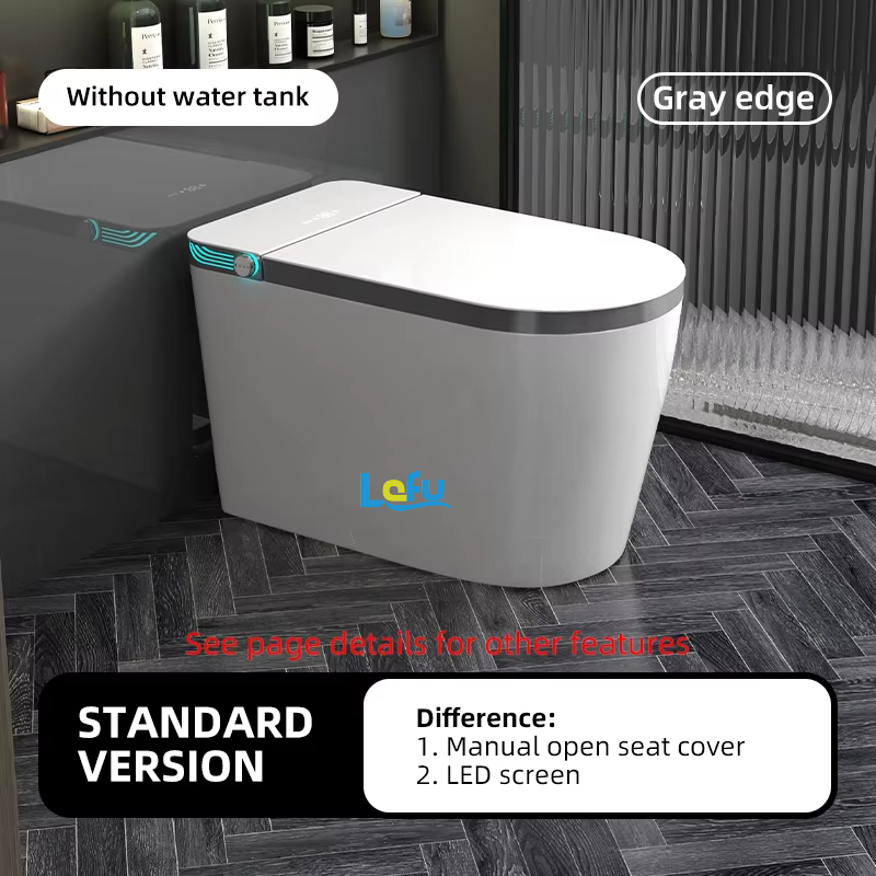 Version standard grise (sans réservoir d'eau)