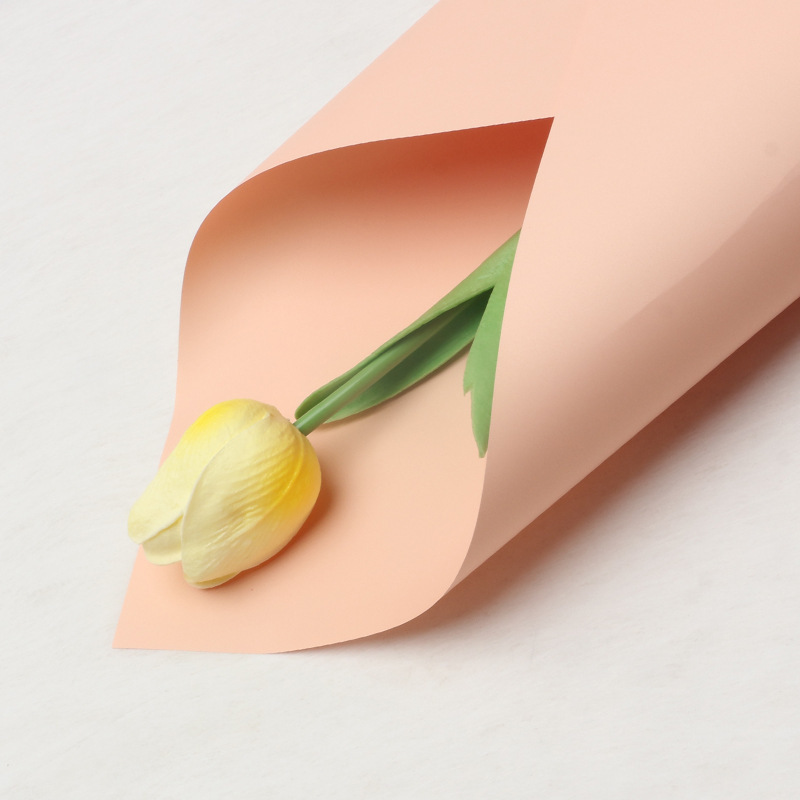 Creamy_Champagne