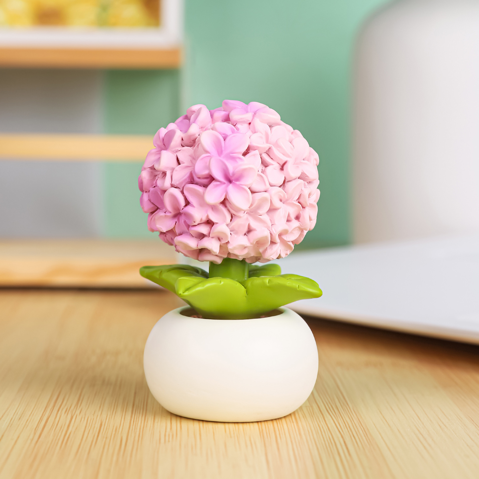 Flowerpot pixie-azalea