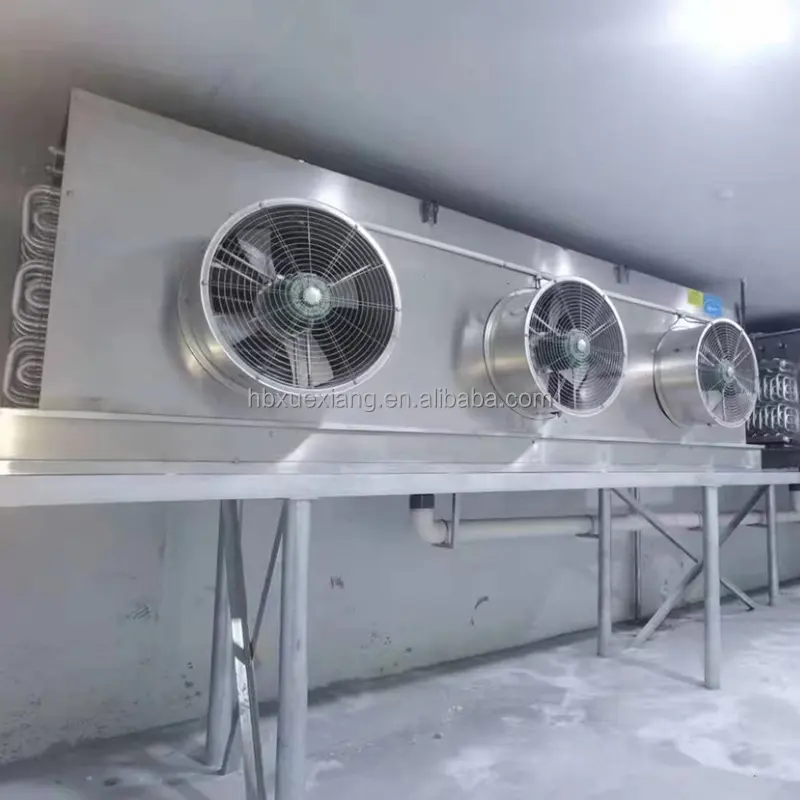Équipement de réfrigération de refroidisseur d'unité pour la chambre froide, condensateur refroidi par air, évaporateur de chambre froide