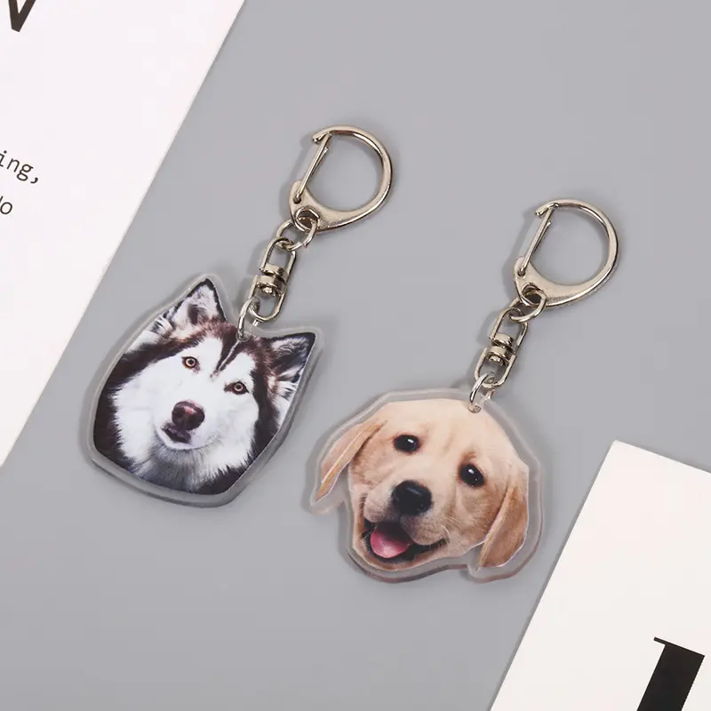 Toptan özel promosyon hediye akrilik anahtarlık karikatür sevimli Pet köpek çanta araba kolye akrilik anahtarlık