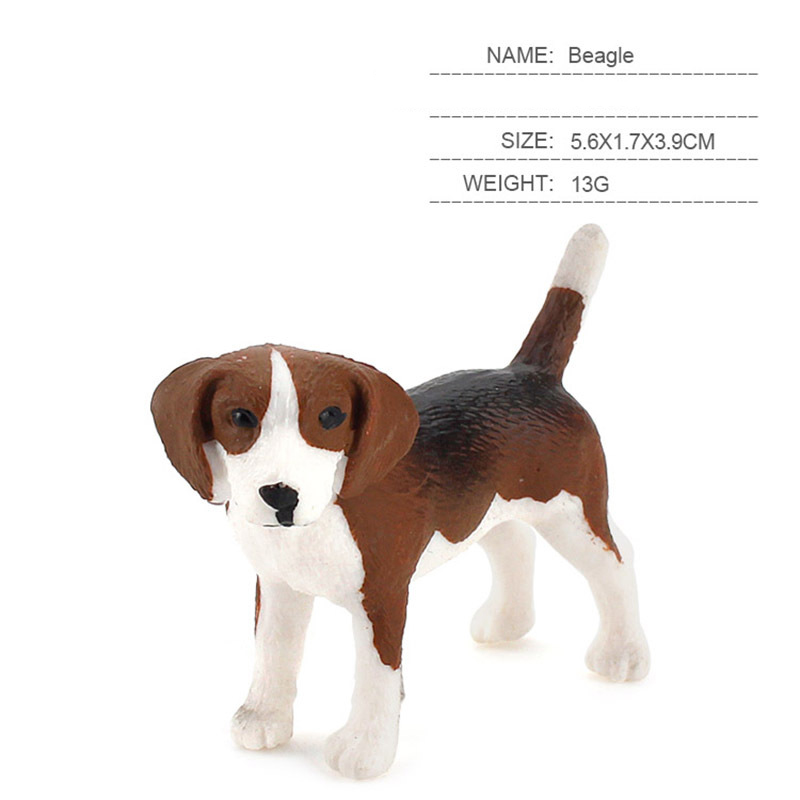 Beagle