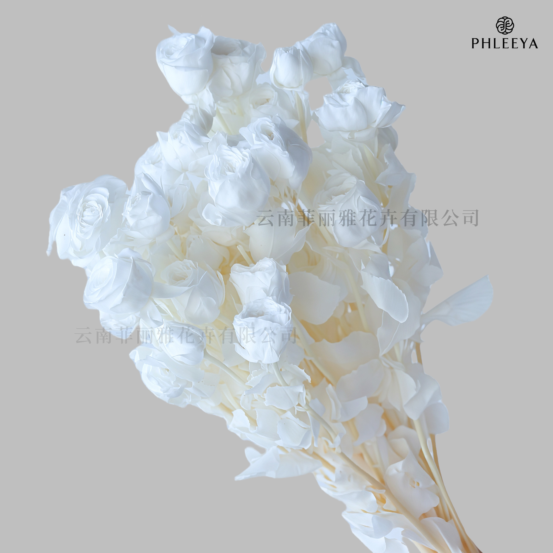 Blanc