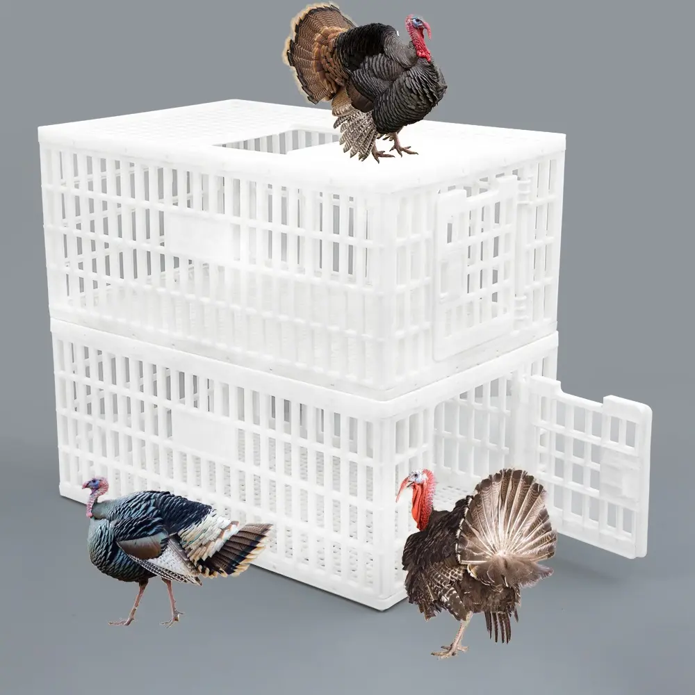 Fabbricazione hdpe vergine 900*600*405mm assemblaggio autobloccante gabbia di trasporto in plastica per tacchino di pollo con porta a battente