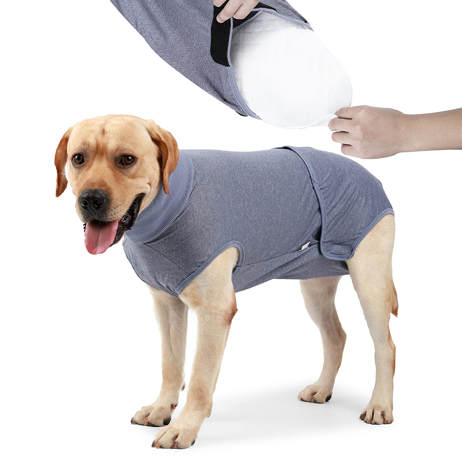 สีฟ้าอ่อน