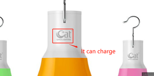 Función de iluminación de emergencia fuente de luz LED Tiempo de trabajo prolongado La bombilla de luz de emergencia recargable es para acampar en el desierto - Product Image 3