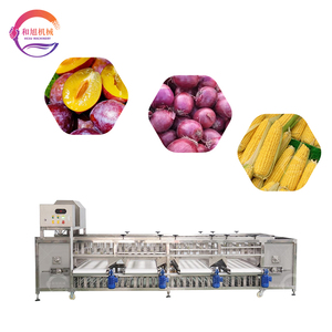 Máquina clasificadora de patatas Máquina clasificadora de rodillos Máquina clasificadora de cerezas de café - Product Image 2