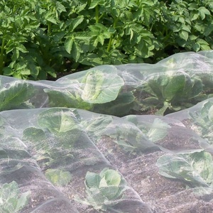 100% Virgen HDPE 50 Malla Transparente Agrícola Aphid Red a prueba de insectos Invernadero Red antiinsectos - Product Image 5
