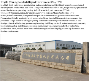 高级液位开关用于自动化系统和工业过程控制解决方案的液位开关 - Product Image 6