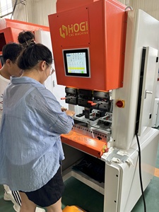 HOGI vendita calda PB-0805 Mini pressa elettrica CNC 3 assi programmazione servoazionamento piegatrice elettrica risparmio energetico - Product Image 4