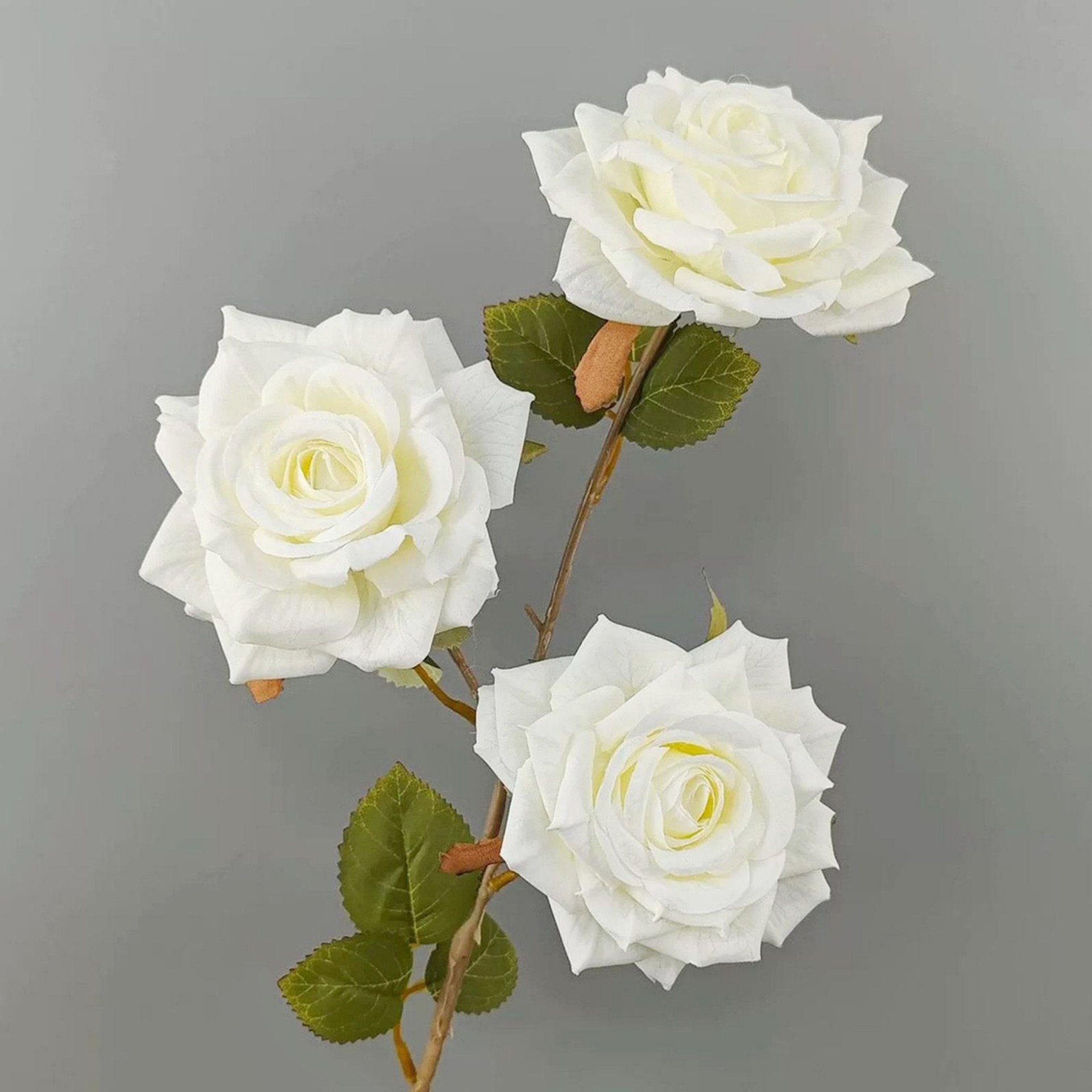 Blanc 75cm