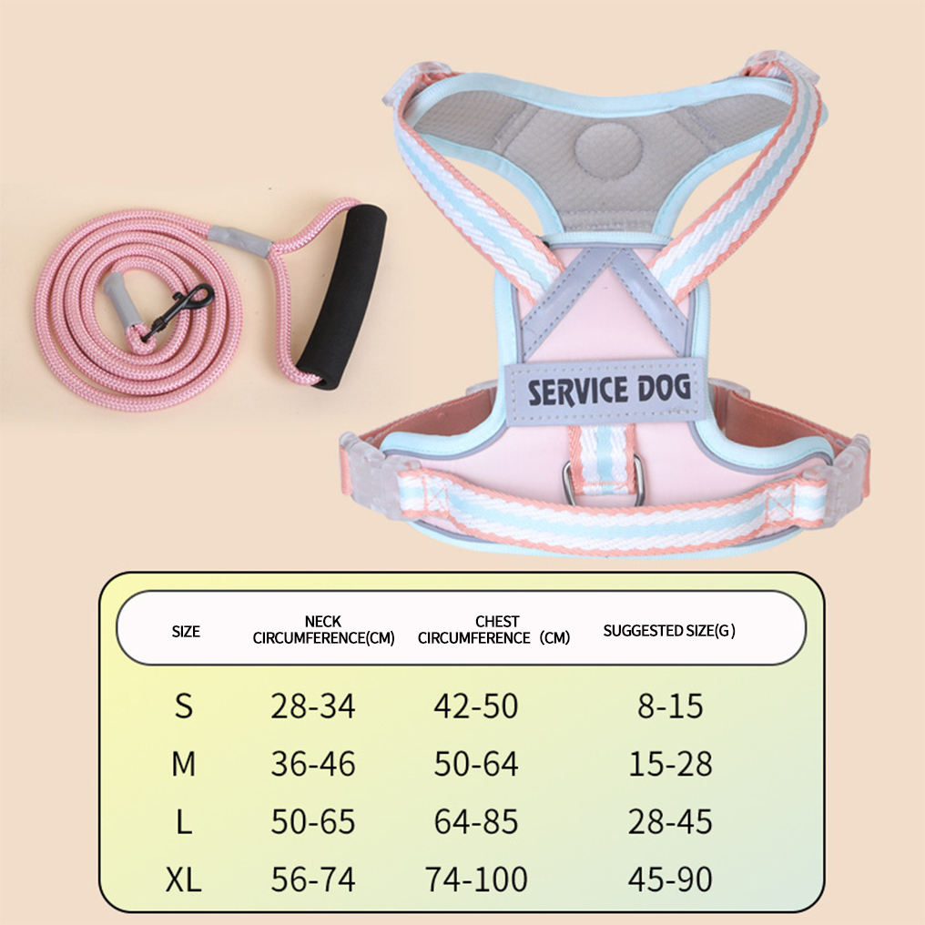 สายรัดสีชมพู + สายจูง