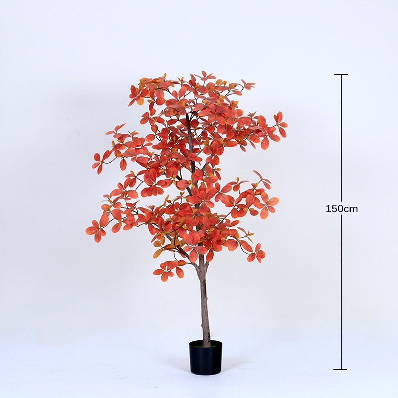 Autumn Colors of the Paulownia Tree - 150cm