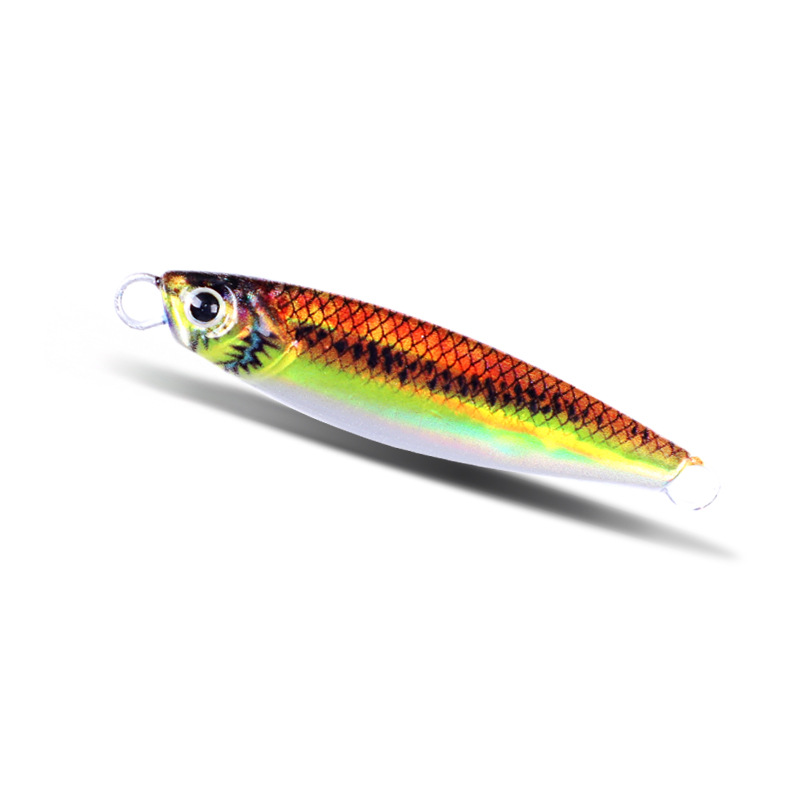 Orange back silver belly body