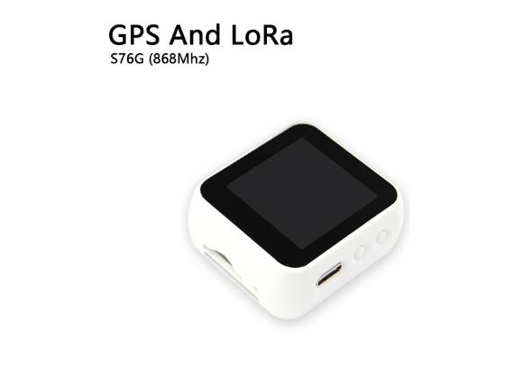 S76G 868Mhz CH9102F
