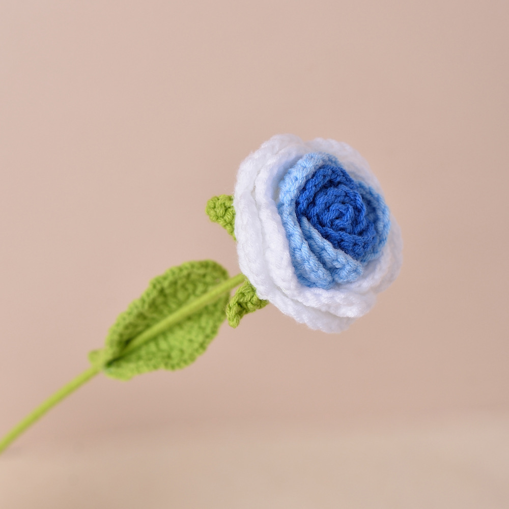 Blue gradient rose