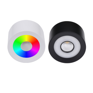 Shenzhen Benory RGBCCT Lighting Loxone <strong>PWM</strong> <strong>Dmx</strong> Dali Tree &amp; Air Smart Home <strong>Control</strong> RGBW Ceiling Spot 24v Dc Surface Downlight - Product Image 1