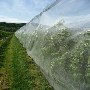 Red de cultivo de protección contra insectos para árboles frutales, verduras y jardines