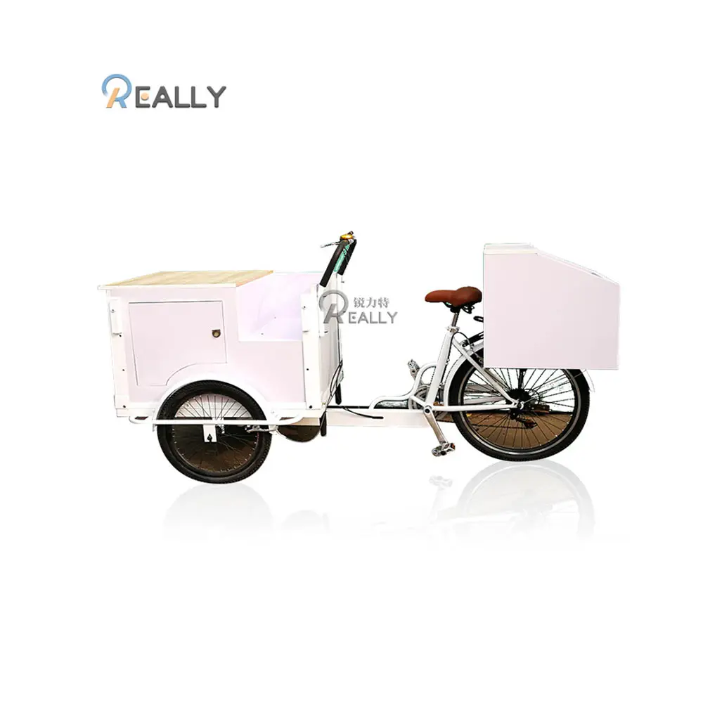 Heißer Verkauf Frontlader Pedal Assist Gefrier schrank Dreirad Elektro Adult Ice Cream Ice Alloy Drink Beer Bike zum Verkauf