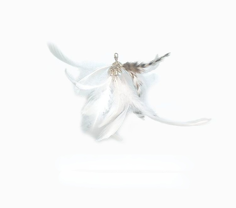 Feathers