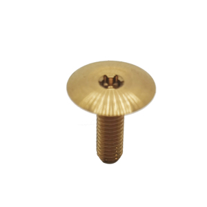 定制Din 912 GR5 M2 M2.5 M3 M6钛梅花螺钉钛螺栓 - Product Image 4
