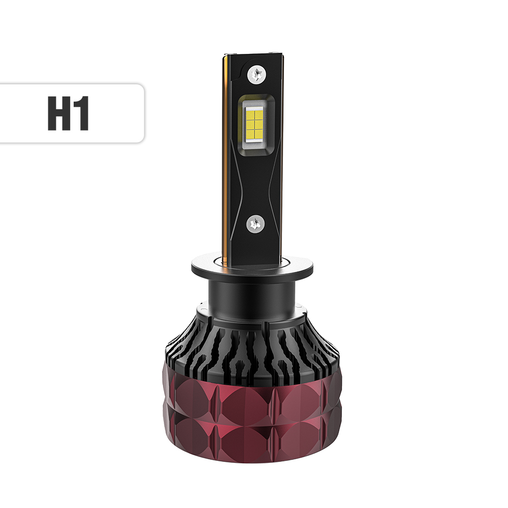 H1