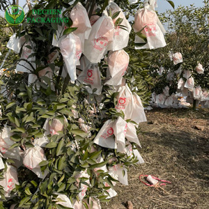 Paper Guava Fruit Cover Biodegradable Fruits Vegetables Bag - Product Image 3