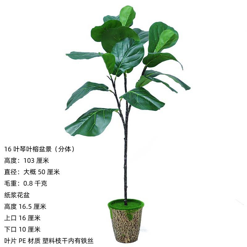 Bassin de pulpe de ficus de qin ye de 16 feuilles (fente) 103cm
