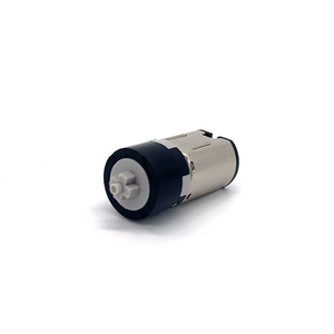 Kunden spezifischer Niederspannungs-1, 5-V-3-V-DC-Getriebemotor mit 10mm Durchmesser und kleinem Getriebe motor für Smart-Home-Modelle Arduino Projects Automation