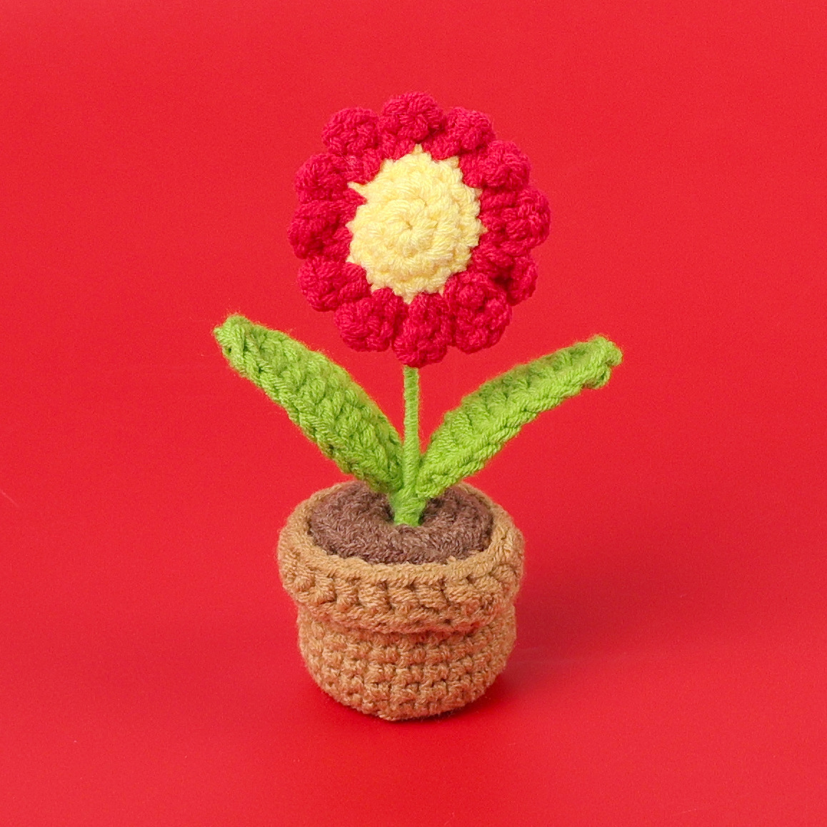 Plante en pot marguerite rouge-mini bassin en laine
