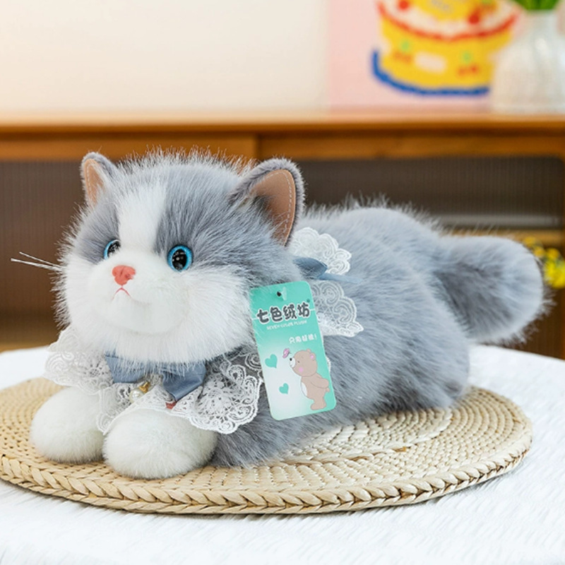 Gray ragdoll with bib