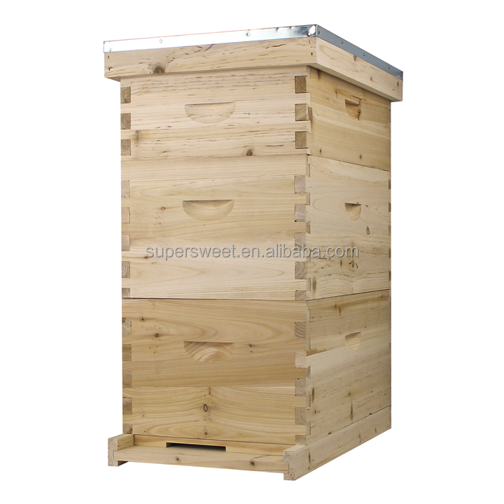 10 Frames Beekeeping Wooden Langstroth Beehive Bee hive Two Layer Hive Deep Bee Box