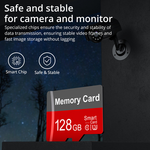 OEM高品质C10级10 16gb微型迷你sd卡4gb 128mb 2gb tf卡存储卡，用于设备套件应用蒸汽甲板 - Product Image 5