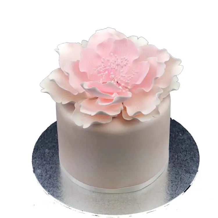 Đầy Màu sắc ăn được đường dán fondant cho bánh trang trí