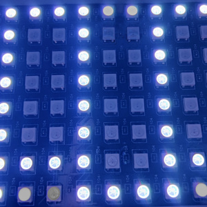 8*32 schermo Pixel LED personalizzato a matrice di punti led ws2812b modulo pannello a colori SK6812 schermo Pixel LED programmabile con lettera flessibile