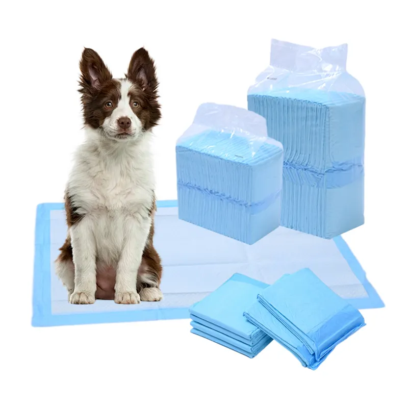 Hot Selling Disposable Organic Non-Toxic Pet Pee Pads for Dog Training