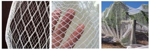 Rete di utilizzo multiplo netto di supporto per piante verdi a traliccio di qualità forte - Product Image 3