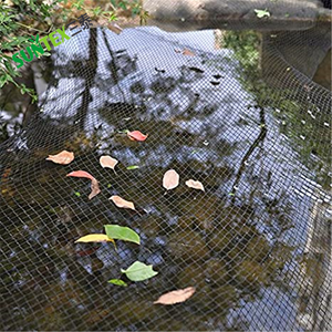 Kit de red de estanque de 15x15 pies, Red de piscina de alta resistencia para una limpieza fácil, cubierta protectora para peces Koi - Product Image 2