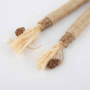 Funny <strong>Catnip</strong> Stick Insect Gall Fruit Stick and Stick Bites Cat Cleaning Teeth Tooth Powder Cat Toy <strong>Catnip</strong>