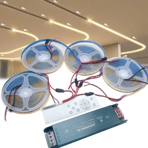 WS2811 COB acqua corrente corrente a <span class=keywords><strong>LED</strong></span> striscia leggera corsa di cavalli a caccia di telecomando Wireless DC24V potenza 20M <span class=keywords><strong>10M</strong></span> Set completo