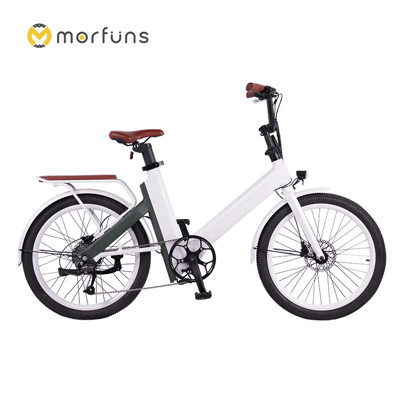 Sepeda Listrik Kota 24 Inci Sepeda Listrik 15Ah Baterai Lithium Jarak Jauh Ebike 250W 500W Sepeda Listrik