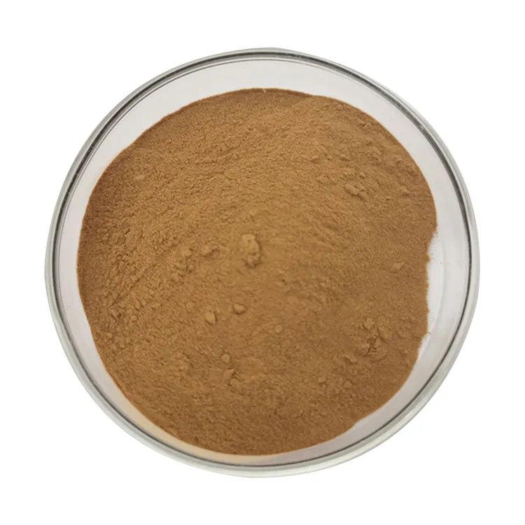 Wholesale High Quality Chia Seed Extract Chia Seed Protein Powder Chia Seed Extract Powder