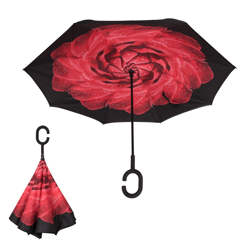 Red rose