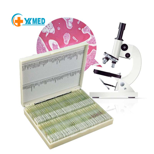 Medical University Laboratory Teaching Research Project Human Histology Prepared Slides of Human Motor <strong>Nerve</strong> - Product Image 1