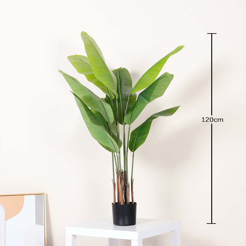 Green 120cm