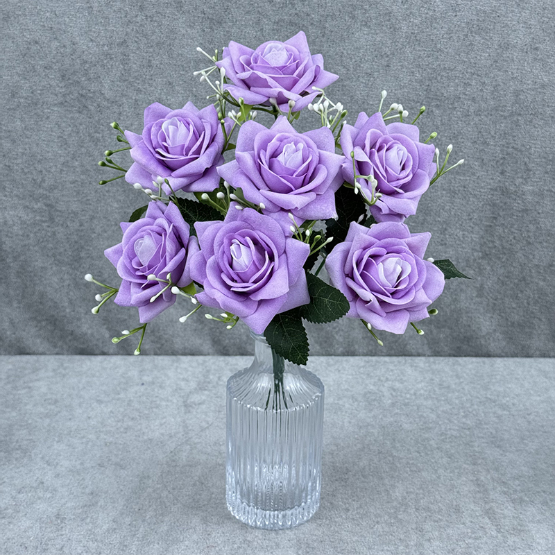Viola
