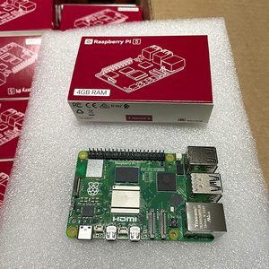 100% nuova scheda di sviluppo Raspberry Pi 5 capacità 4GB
