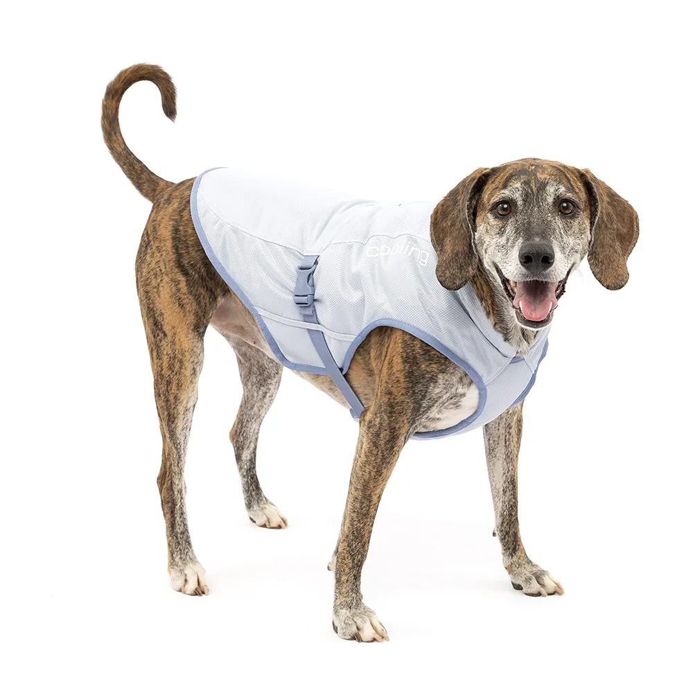 Qiqu Pet Supplies gilet di raffreddamento personalizzato per cani giacca di raffreddamento per cani cappotto di raffreddamento per evaporazione per animali domestici guinzaglio con cinghie regolabili